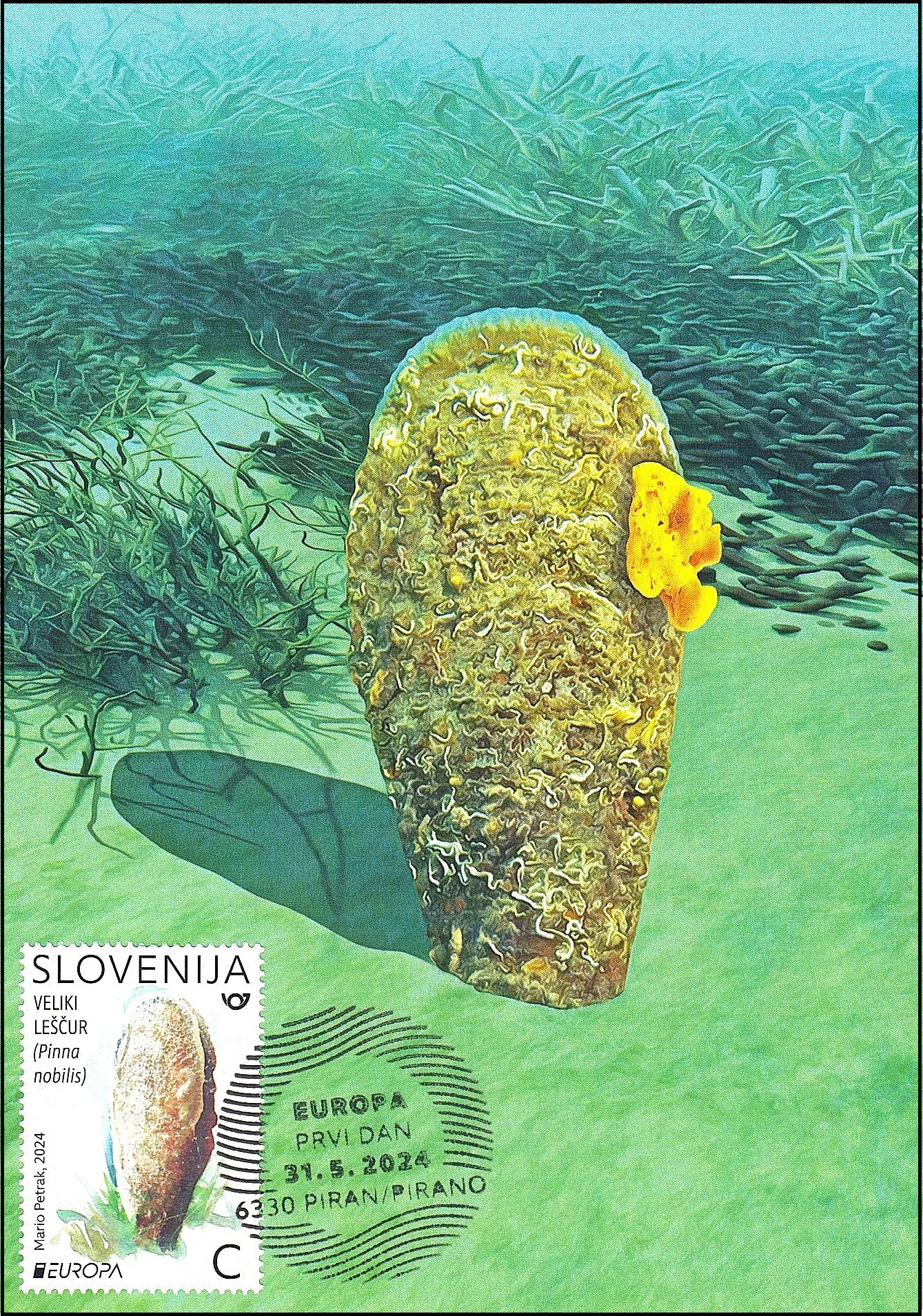EUROPA 2024 PRVI DAN